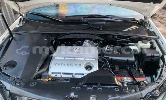 Buy Used Lexus RX 330 White Car in Bavet in Svay Rieng Province Buy Used Lexus RX 330 White Car in Bavet in Svay Rieng Province