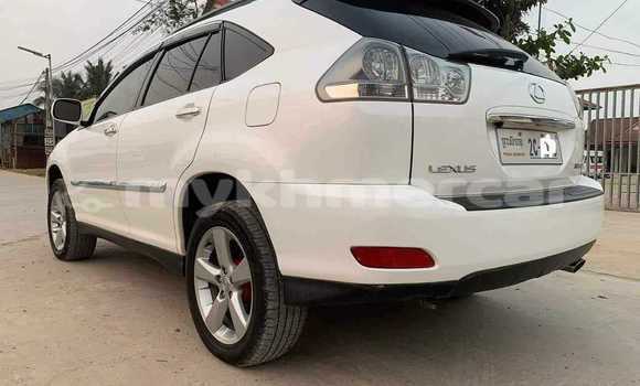 Buy Used Lexus RX 330 White Car in Bavet in Svay Rieng Province Buy Used Lexus RX 330 White Car in Bavet in Svay Rieng Province