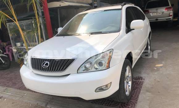 Buy Used Lexus RX 330 White Car in Phnom Penh in Phnom Penh