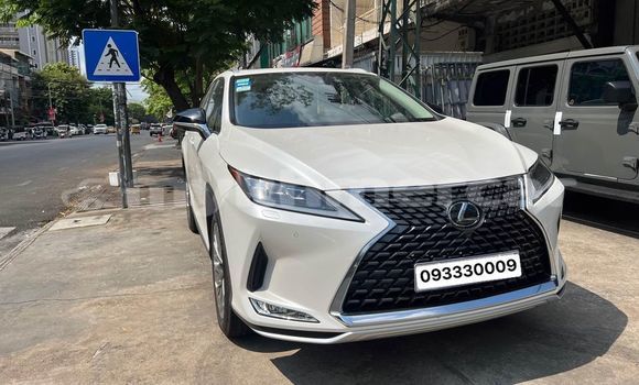 Buy Used Lexus RX 350 White Car in Bavet in Svay Rieng Province Buy Used Lexus RX 350 White Car in Bavet in Svay Rieng Province