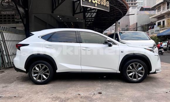 Buy Used Lexus NX White Car in Bavet in Svay Rieng Province Buy Used Lexus NX White Car in Bavet in Svay Rieng Province