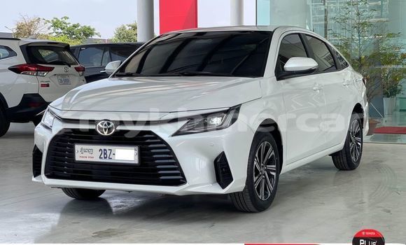 Buy Used Toyota Vios Other Car in Bavet in Svay Rieng Province Buy Used Toyota Vios Other Car in Bavet in Svay Rieng Province