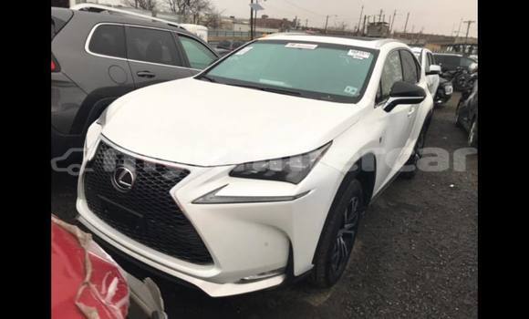 Buy Used Lexus NX White Car in Phnom Penh in Phnom Penh