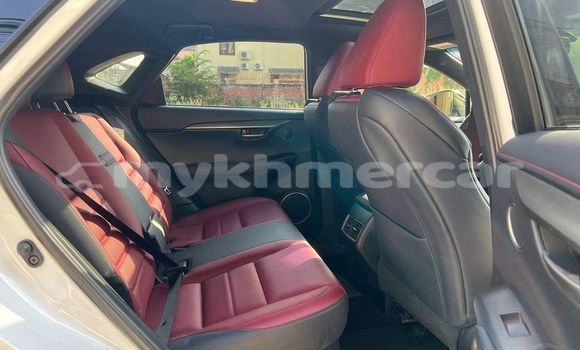 Buy Used Lexus NX White Car in Bavet in Svay Rieng Province Buy Used Lexus NX White Car in Bavet in Svay Rieng Province