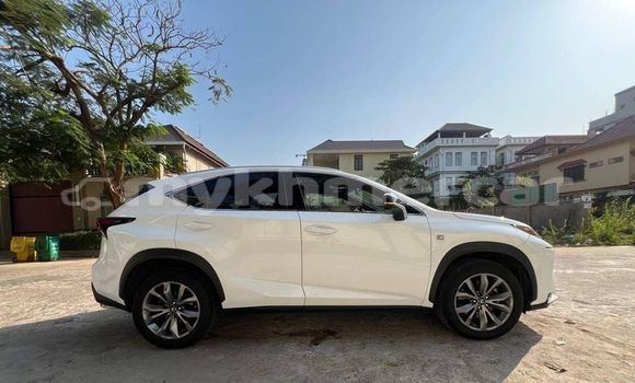 Buy Used Lexus NX White Car in Bavet in Svay Rieng Province Buy Used Lexus NX White Car in Bavet in Svay Rieng Province