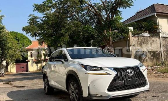 Buy Used Lexus NX White Car in Bavet in Svay Rieng Province Buy Used Lexus NX White Car in Bavet in Svay Rieng Province
