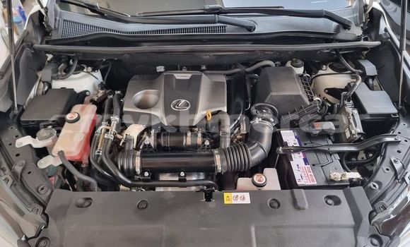 Buy Used Lexus NX White Car in Bavet in Svay Rieng Province Buy Used Lexus NX White Car in Bavet in Svay Rieng Province