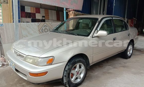 ទិញ បានប្រើ Toyota Corolla Silver ឡាន} ក្នុង Phnom Penh ក្នុង Phnom Penh ទិញ បានប្រើ Toyota Corolla Silver ឡាន} ក្នុង Phnom Penh ក្នុង Phnom Penh
