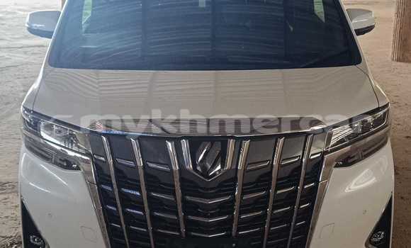 Buy Used Toyota Alphard White Car in Phnom Penh in Phnom Penh