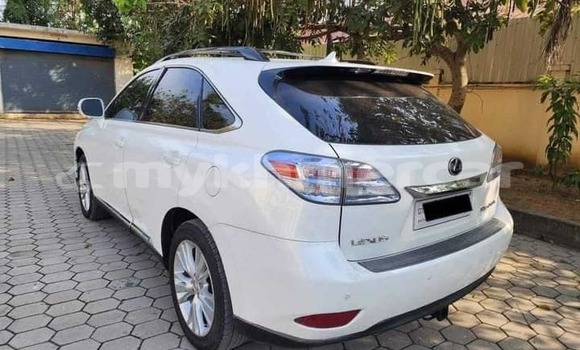 Buy Used Lexus RX 350 White Car in Bavet in Svay Rieng Province Buy Used Lexus RX 350 White Car in Bavet in Svay Rieng Province