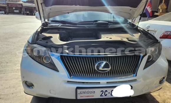 Buy Used Lexus RX 350 White Car in Bavet in Svay Rieng Province Buy Used Lexus RX 350 White Car in Bavet in Svay Rieng Province