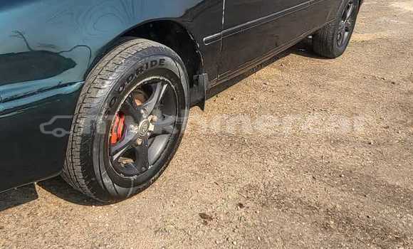 Buy Used Toyota Allex Other Car in Battambang in Battambang Province Buy Used Toyota Allex Other Car in Battambang in Battambang Province