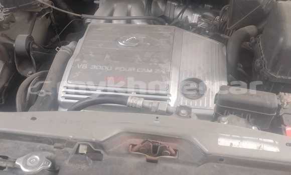 Buy Used Lexus RX 300 Other Car in Battambang in Battambang Province Buy Used Lexus RX 300 Other Car in Battambang in Battambang Province