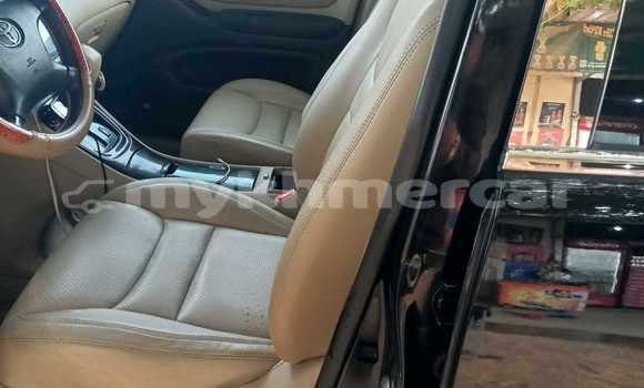 Buy Used Toyota Fortuner Black Car in Bavet in Svay Rieng Province Buy Used Toyota Fortuner Black Car in Bavet in Svay Rieng Province