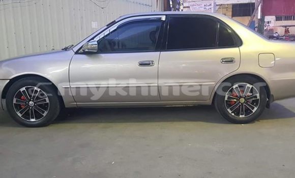 Medium with watermark 56285242 2216850851705338 440912121312575488 o