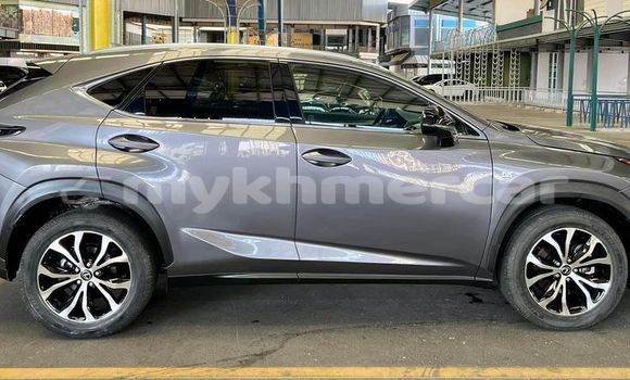 Acheter Occasion Voiture Lexus NX Autre à Battambang, Battambang Province Acheter Occasion Voiture Lexus NX Autre à Battambang, Battambang Province