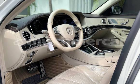 Buy Used Mercedes-Benz S–Class White Car in Phnom Penh in Phnom Penh Buy Used Mercedes-Benz S–Class White Car in Phnom Penh in Phnom Penh