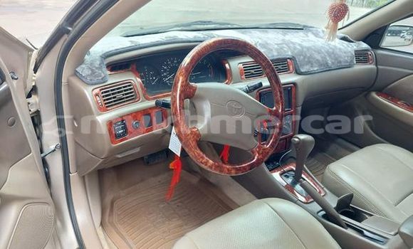 Buy Used Toyota Allex Other Car in Banteay Meanchey in Banteay Meanchey Province Buy Used Toyota Allex Other Car in Banteay Meanchey in Banteay Meanchey Province