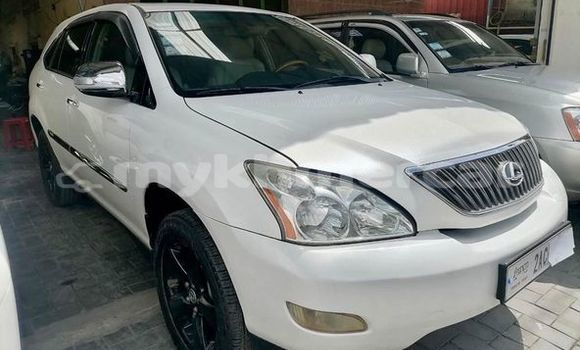 Buy Used Lexus RX 300 White Car in Bavet in Svay Rieng Province Buy Used Lexus RX 300 White Car in Bavet in Svay Rieng Province