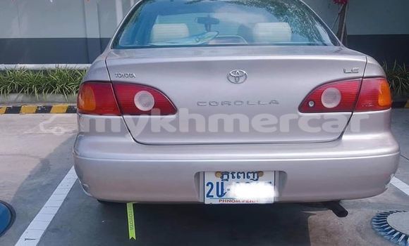 Acheter Occasion Voiture Toyota Corolla Gris à Phnom Penh, Phnom Penh Acheter Occasion Voiture Toyota Corolla Gris à Phnom Penh, Phnom Penh
