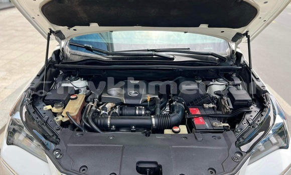 Buy Used Lexus NX White Car in Phnom Penh in Phnom Penh Buy Used Lexus NX White Car in Phnom Penh in Phnom Penh