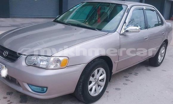 Acheter Occasion Voiture Toyota Corolla Gris à Phnom Penh, Phnom Penh Acheter Occasion Voiture Toyota Corolla Gris à Phnom Penh, Phnom Penh