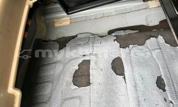 Acheter Occasion Voiture Lexus RX 330 Blanc à Bavet, Svay Rieng Province Acheter Occasion Voiture Lexus RX 330 Blanc à Bavet, Svay Rieng Province