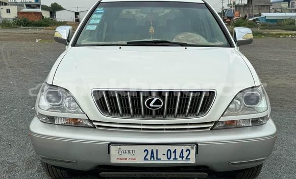 Buy Used Lexus RX 300 White Car in Bavet in Svay Rieng Province Buy Used Lexus RX 300 White Car in Bavet in Svay Rieng Province