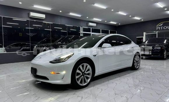 Buy Used Tesla Model 3 White Car in Banteay Meanchey in Banteay Meanchey Province Buy Used Tesla Model 3 White Car in Banteay Meanchey in Banteay Meanchey Province
