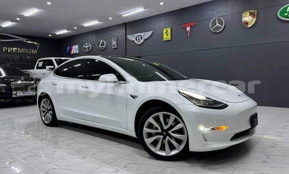 Buy Used Tesla Model 3 White Car in Banteay Meanchey in Banteay Meanchey Province Buy Used Tesla Model 3 White Car in Banteay Meanchey in Banteay Meanchey Province