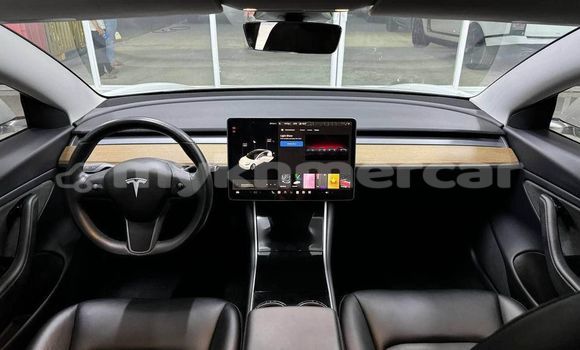Buy Used Tesla Model 3 White Car in Banteay Meanchey in Banteay Meanchey Province Buy Used Tesla Model 3 White Car in Banteay Meanchey in Banteay Meanchey Province
