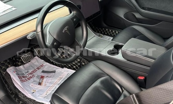 Buy Used Tesla Model 3 Blue Car in Phnom Penh in Phnom Penh Buy Used Tesla Model 3 Blue Car in Phnom Penh in Phnom Penh