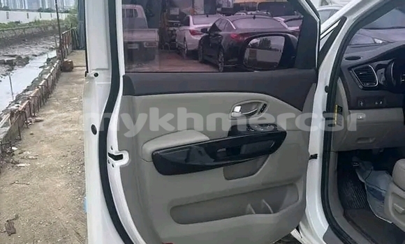 Buy Used Kia Carnival White Car in Cheom Ksan in Preah Vihear Province Buy Used Kia Carnival White Car in Cheom Ksan in Preah Vihear Province