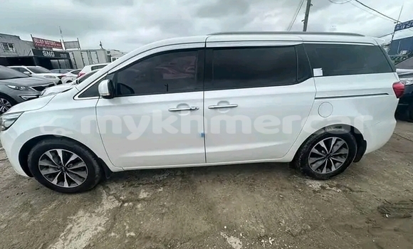 Buy Used Kia Carnival White Car in Cheom Ksan in Preah Vihear Province Buy Used Kia Carnival White Car in Cheom Ksan in Preah Vihear Province
