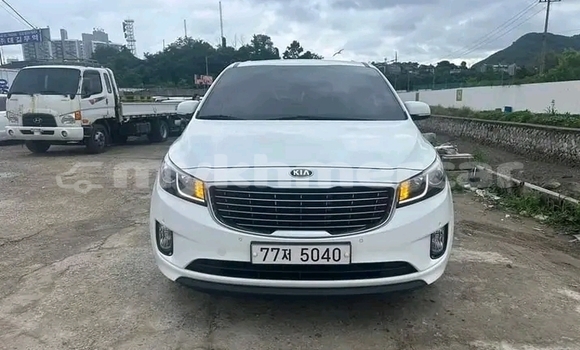 Buy Used Kia Carnival White Car in Cheom Ksan in Preah Vihear Province Buy Used Kia Carnival White Car in Cheom Ksan in Preah Vihear Province