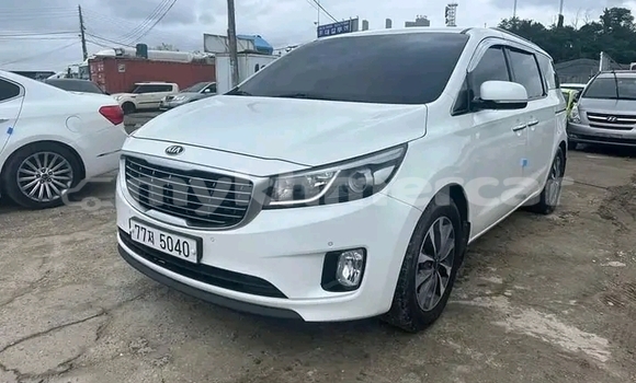 Buy Used Kia Carnival White Car in Cheom Ksan in Preah Vihear Province Buy Used Kia Carnival White Car in Cheom Ksan in Preah Vihear Province