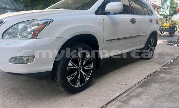 Buy Used Lexus RX 330 White Car in Kep in Kep Province Buy Used Lexus RX 330 White Car in Kep in Kep Province