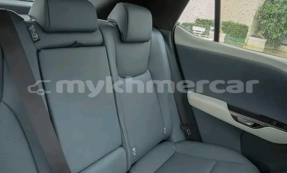 Buy Used Lexus RX 300 Other Car in Import - Dubai in Kampot Province Buy Used Lexus RX 300 Other Car in Import - Dubai in Kampot Province