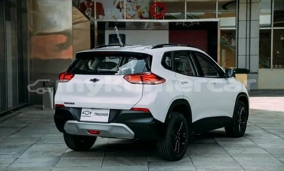 Buy Used BMW Z3 M White Car in Import - Dubai in Kampot Province Buy Used BMW Z3 M White Car in Import - Dubai in Kampot Province