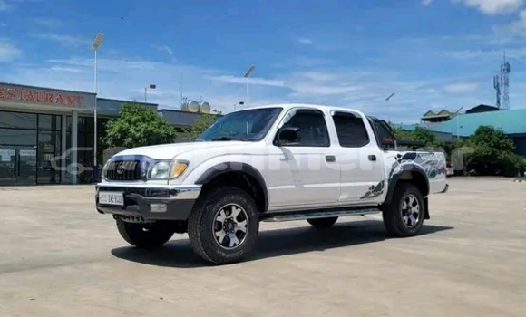 Buy Used Toyota Tacoma White Car in Cheom Ksan in Preah Vihear Province Buy Used Toyota Tacoma White Car in Cheom Ksan in Preah Vihear Province