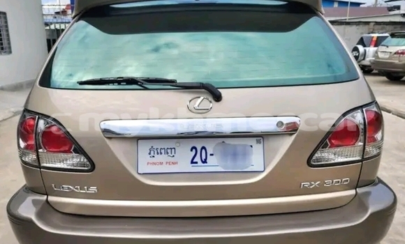 Buy Used Lexus RX 330 Other Car in Cheom Ksan in Preah Vihear Province Buy Used Lexus RX 330 Other Car in Cheom Ksan in Preah Vihear Province