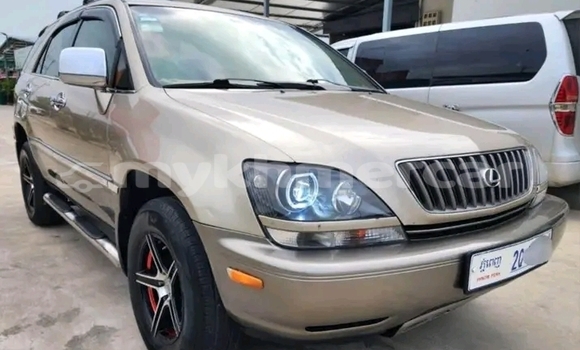 Buy Used Lexus RX 330 Other Car in Cheom Ksan in Preah Vihear Province Buy Used Lexus RX 330 Other Car in Cheom Ksan in Preah Vihear Province