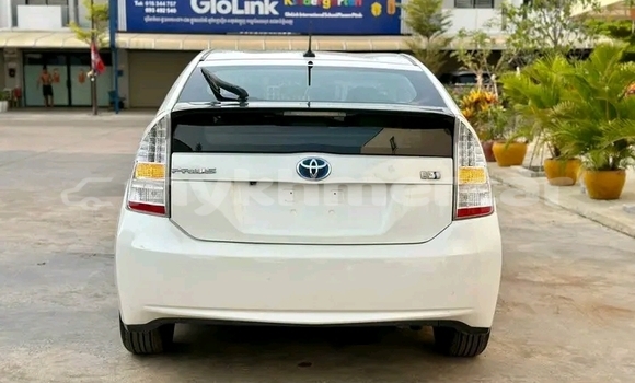 Buy Used Toyota Prius White Car in Dăm Thnăm in Kampot Province Buy Used Toyota Prius White Car in Dăm Thnăm in Kampot Province