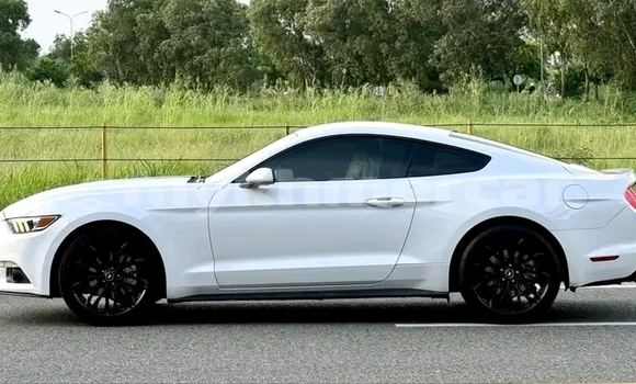 Buy Used Ford Mustang White Car in Khŭm Sráng in Kampong Speu Province Buy Used Ford Mustang White Car in Khŭm Sráng in Kampong Speu Province