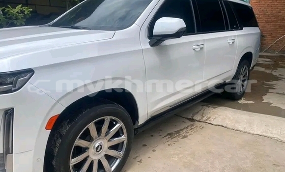 ទិញ បានប្រើ Isuzu Ascender White ឡាន} ក្នុង Kep ក្នុង Kep Province ទិញ បានប្រើ Isuzu Ascender White ឡាន} ក្នុង Kep ក្នុង Kep Province