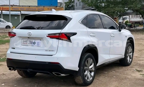 ទិញ បានប្រើ Nissan NP 300 White ឡាន} ក្នុង Cheom Ksan ក្នុង Preah Vihear Province ទិញ បានប្រើ Nissan NP 300 White ឡាន} ក្នុង Cheom Ksan ក្នុង Preah Vihear Province