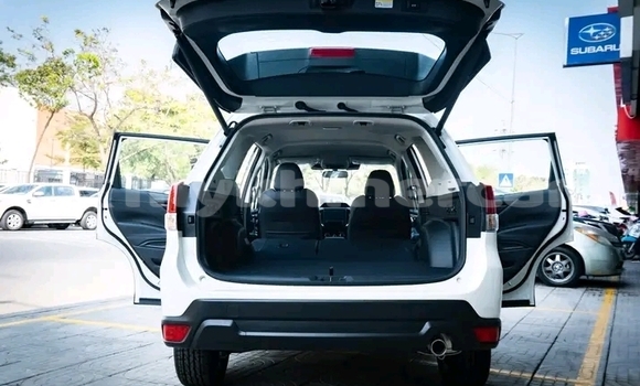 Buy Used Subaru Forester White Car in Cheom Ksan in Preah Vihear Province
