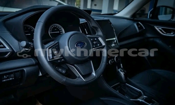 Buy Used Subaru Forester White Car in Cheom Ksan in Preah Vihear Province Buy Used Subaru Forester White Car in Cheom Ksan in Preah Vihear Province