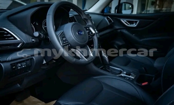 Buy Used Subaru Forester White Car in Cheom Ksan in Preah Vihear Province Buy Used Subaru Forester White Car in Cheom Ksan in Preah Vihear Province