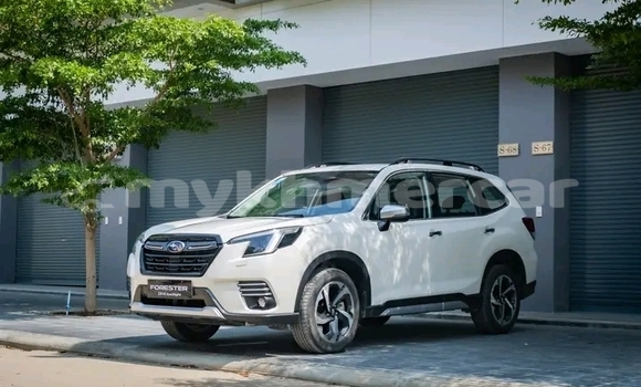 Buy Used Subaru Forester White Car in Cheom Ksan in Preah Vihear Province Buy Used Subaru Forester White Car in Cheom Ksan in Preah Vihear Province